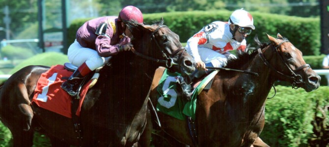 Adirondack Dancer Runs 1st Place @ Saratoga On 8/24/2013