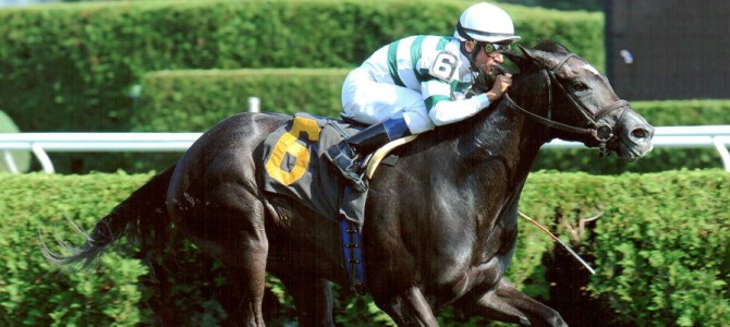 A P Johnson Runs 1st Place @ Saratoga On 8/30/2013