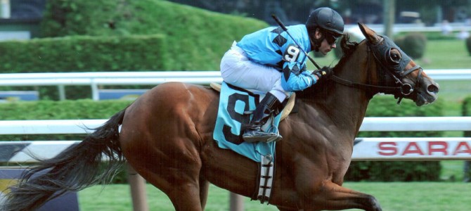 Miss Narcissist Runs 1st Place @ Saratoga On 8/28/2013