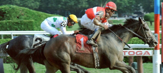 Scat Away Runs 1st @ Saratoga on 9/1/13