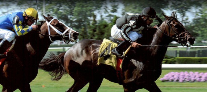 ALE Runs 1st Place @ Belmont Park On 6/21/2013