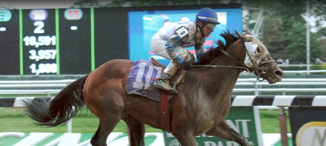 Blue Creek Runs 1st Place @ Belmont Park On 5/25/2013