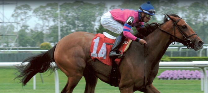 Justoneatheguys Runs 1st Place @ Belmont Park On 5/23/2013