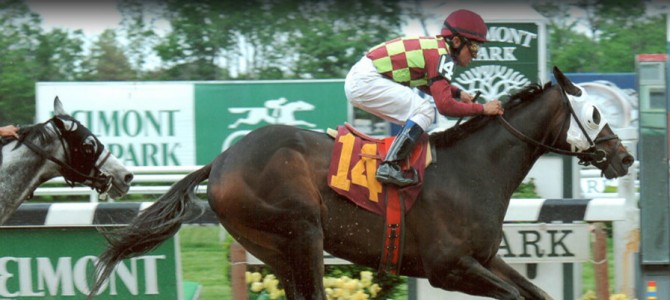 Terminus Runs 1st Place @ Belmont Park On 5/25/2013