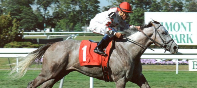 Double The Energy Runs 1st Place @ Belmont On 9/19/2013