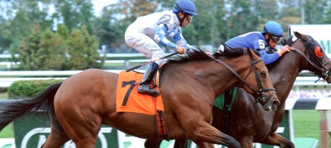 Frazil Runs 1st Place @ Belmont On 9/27/2013