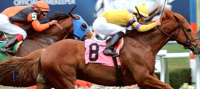 Alarmed NDangerous Runs 1st Place @ Belmont On 10/11/13