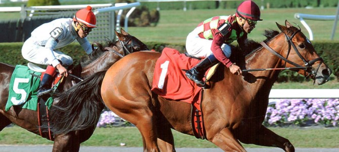 Ave’s Halo 1st Place @ Belmont On 10/2/13