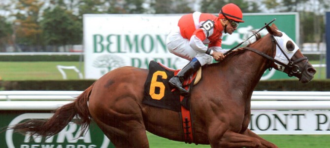 Going Going Gone Runs 1st Place @ Belmont On 10/11/13