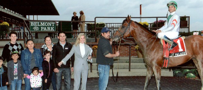 Palace Runs 1st Place @ Belmont On 10/19/13