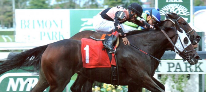 Trailer Walker Runs 1st Place @ Belmont On 10/9/13