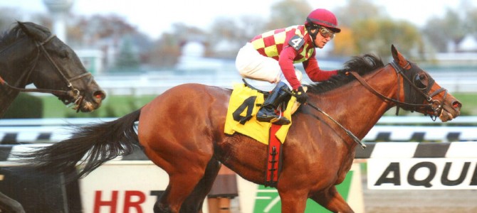 Abra Runs 1st Place @ Aqueduct On 11/10/13