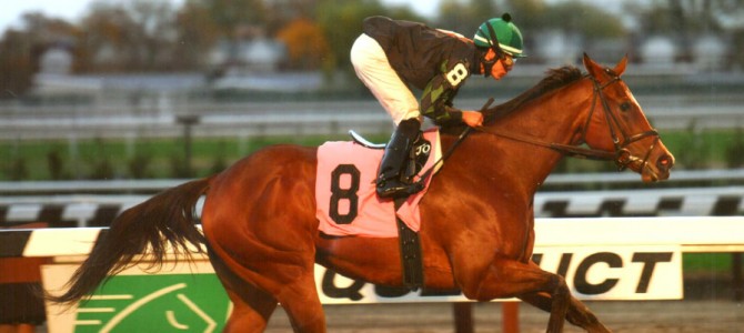 La Verdad Runs 1st Place @ Aqueduct On 11/07/13