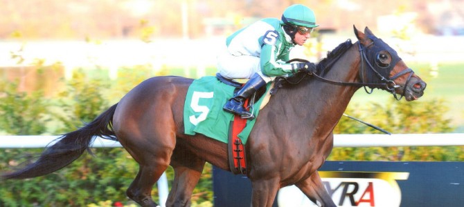 Mark My Way Runs 1st Place @ Aqueduct On 11/10/13