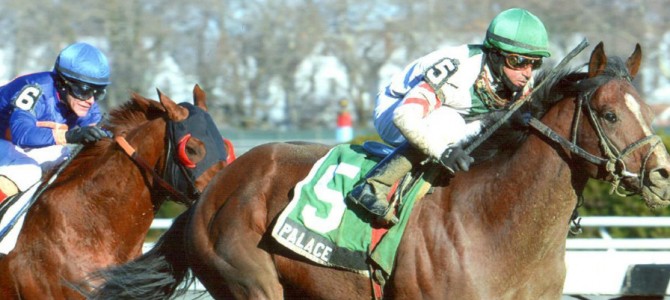 Palace Wins The Fall Highweight Handicap on 11/28/13