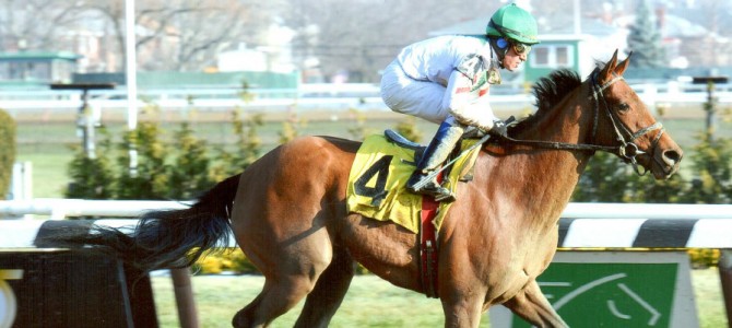 Bounty Pink Runs 1st Place @ Aqueduct On 12/19/13