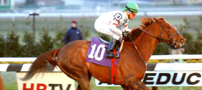 Dapper Draper Runs 1st Place @ Aqueduct On 12/19/13