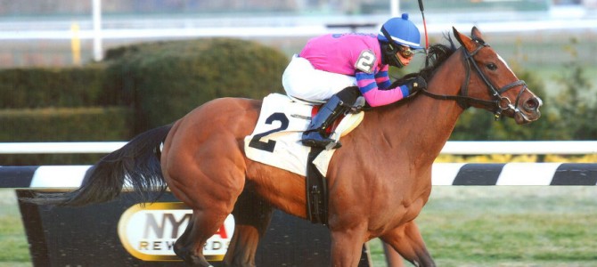 La Verdad Runs 1st Place @ Aqueduct On 12/19/13