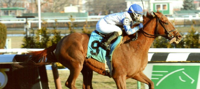 Alcomatch Runs 1st Place @ Aqueduct On 1/9/14