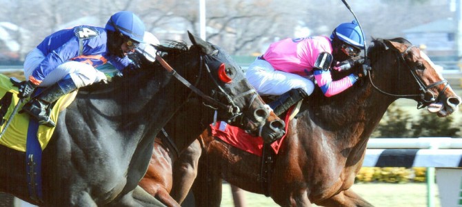 Erik The Red Runs 1st Place @ Aqueduct On 1/19/14