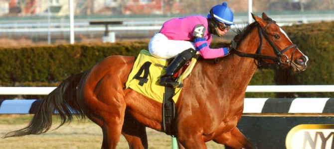 La Verdad Runs 1st Place @ Aqueduct On 1/17/14