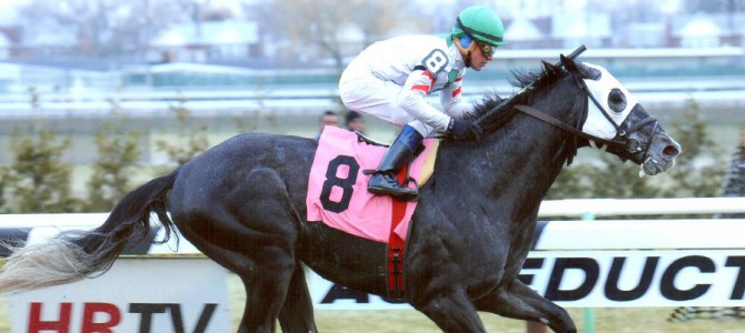 Risk Mangement Runs 1st Place @ Aqueduct On 1/16/14