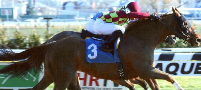 Won Great Classic Runs 1st Place @ Aqueduct On 12/28/13