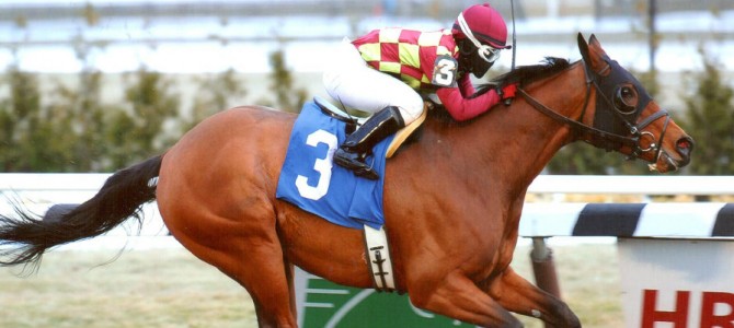 Abra Runs 1st Place @ Aqueduct On 1/27/14