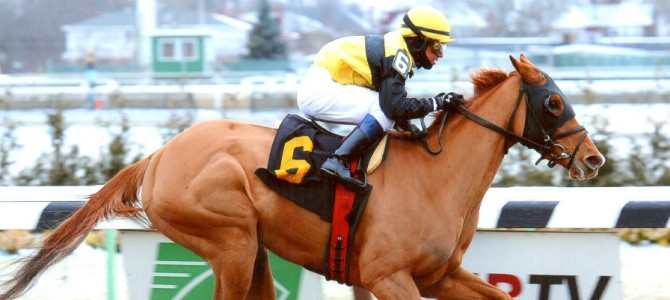 In Her Day runs 1st Place @ Aqueduct On 3/3/14