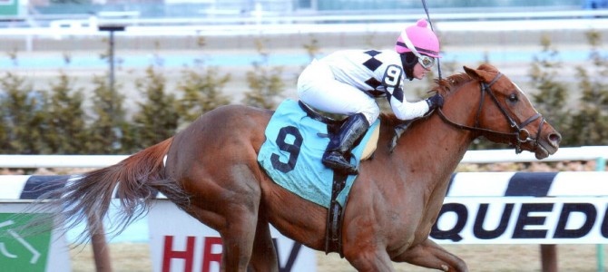 Jazzminegem runs 1st Place @ Aqueduct On 3/20/14