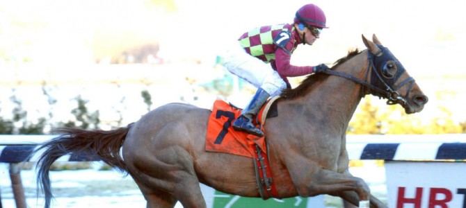 Won Great Classic runs 1st Place @ Aqueduct On 2/22/14