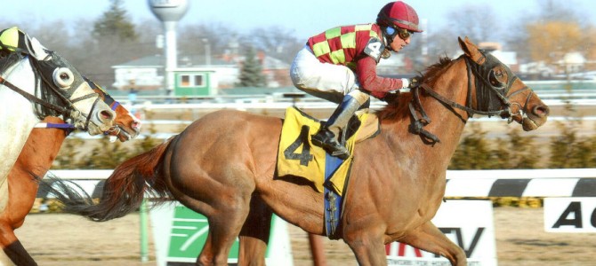 Won Great Classic runs 1st Place @ Aqueduct On 3/8/14