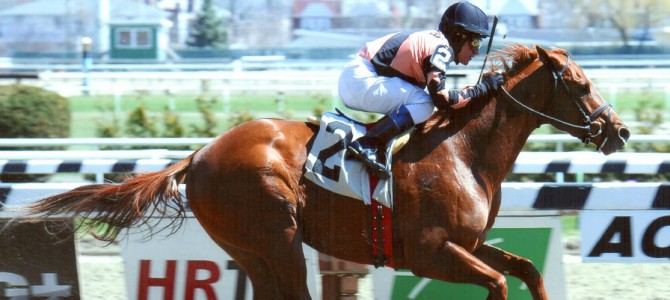 Kick’n Butt runs 1st Place @ Aqueduct On 4/10/14