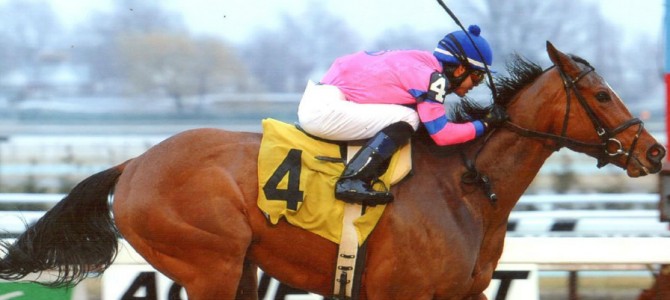 La Verdad runs 1st Place @ Aqueduct On 3/29/14