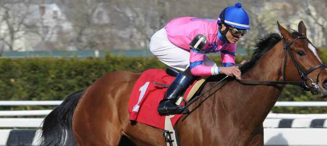 La Verdad runs 1st Place @ Aqueduct On 4/19/14