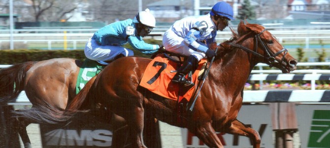 Lion Keen runs 1st Place @ Aqueduct On 4/6/14