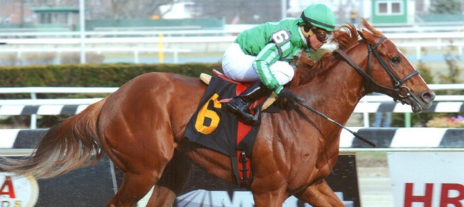 Marriedtothemusic runs 1st Place @ Aqueduct On 4/3/14