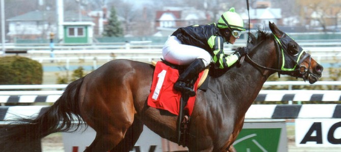 Sovereign Default runs 1st Place @ Aqueduct On 4/3/14