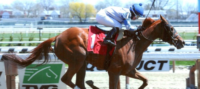 The Iron Furnace runs 1st Place @ Aqueduct On 4/24/14