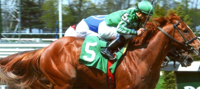 Marriedtothemusic runs 1st Place @ Belmont On 5/2/14