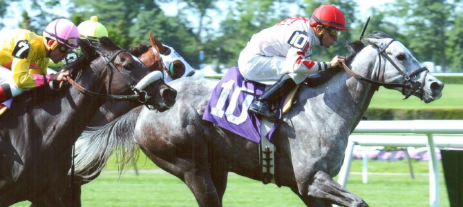 Double The Energy runs 1st Place @ Belmont On 6/15/14