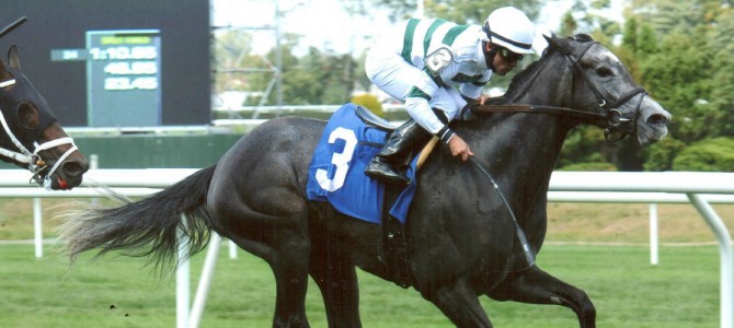 A P Johnson runs 1st Place @ Belmont On 9/20/14