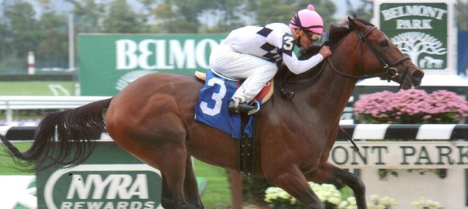 Celebrated Talent runs 1st Place @ Belmont On 10/4/14