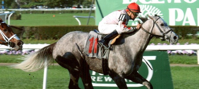 Double The Energy runs 1st Place @ Belmont On 10/17/14