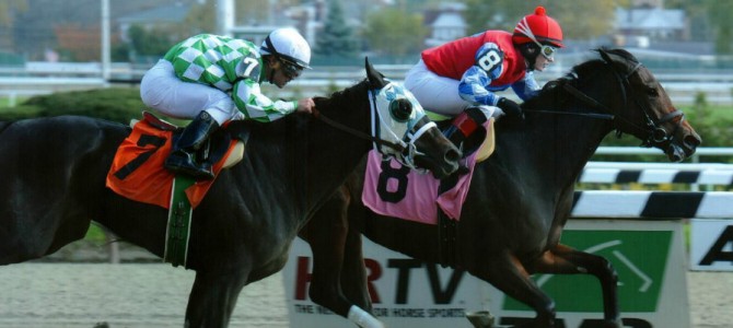 Betty Brown Nose runs 1st Place @ Aqueduct On 10/29/14