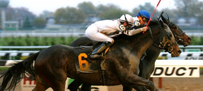 Oltre’ Oro runs 1st Place @ Aqueduct On 11/6/14