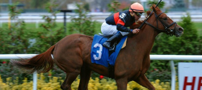 Queen Corey runs 1st Place @ Aqueduct On 10/31/14