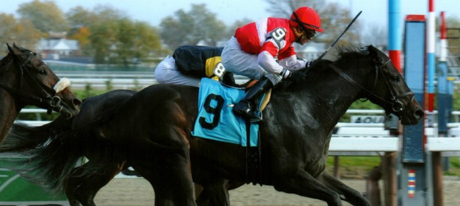 Scat Away runs 1st Place @ Aqueduct On 11/9/14