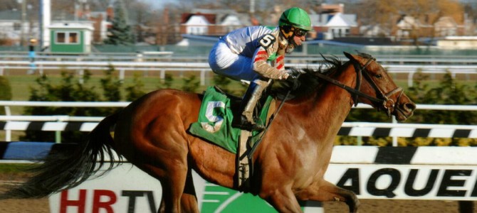 Bounty Pink runs 1st Place @ Aqueduct On 11/28/14