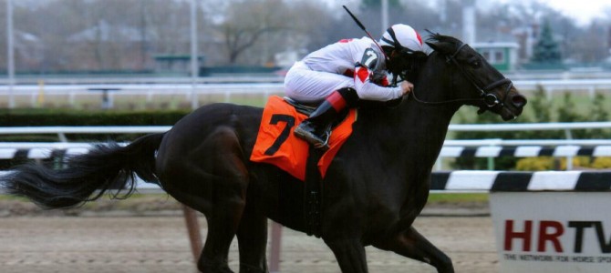 Hidden Warrior runs 1st Place @ Aqueduct On 11/30/14